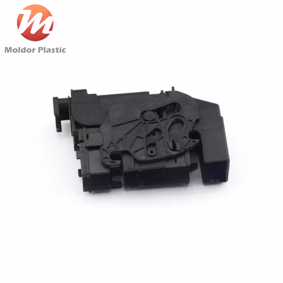 Plastic Injection Automotive/Appliance/Cosmetics/Medical Two-Color Mold and Molding