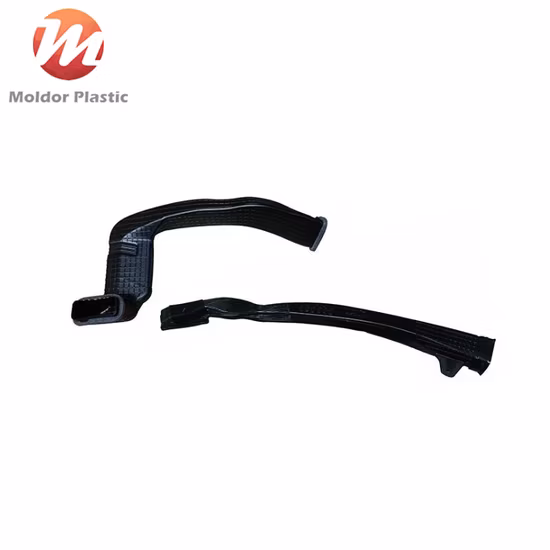 Plastic Injection Automotive/Appliance/Cosmetics/Medical Two-Color Mold and Molding